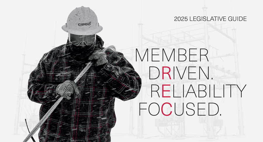 Image link to CIPCO brochure